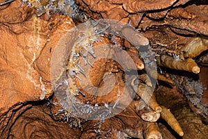 Crystal Cave from Farcu Mine, Calcite Crystal Cave