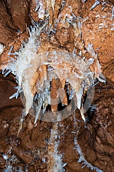 Crystal Cave from Farcu Mine, Calcite Crystal Cave