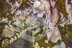 CRYSTAL CAVE SEQUOIA