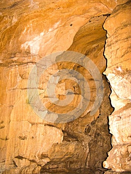 CRYSTAL CAVE SEQUOIA
