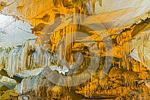 Grotta sequoie, Stati Uniti d'America 