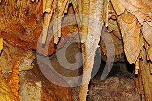 The crystal caves of Bermuda. Incredible formations of white stalactites covered with crystallized soda straws.