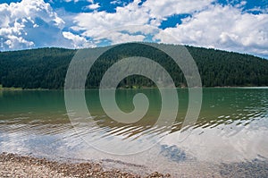 Crystal clean artificial lake near pine forest in Romania