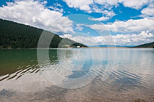 Crystal clean artificial lake near pine forest in Romania