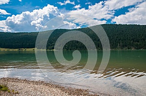 Crystal clean artificial lake near pine forest in Romania