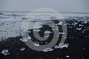 Crystal Clear and Blue Ice Floes on a Black Sand Beach on the Iceland Coast