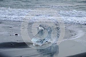 Crystal Clear and Blue Ice Floes on a Black Sand Beach on the Iceland Coast