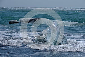 Crystal Clear and Blue Ice Floes on a Black Sand Beach on the Iceland Coast