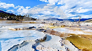 Crystal Clear Blue Water and Brown Bacteria Mats created by cyanobacteria in the water of the Travertine Terraces formed by Geyser