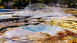 Crystal Clear Blue Water and Brown Bacteria Mats created by cyanobacteria in the water of the Travertine Terraces formed by Geyser