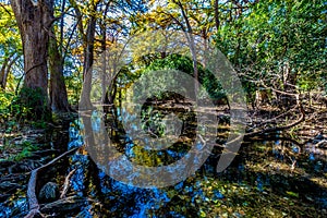 The Crystal Clear Frio River Deep in the Forest.