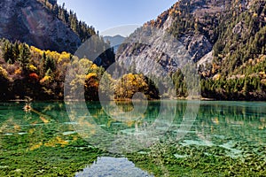 Crystal clear lake with green algae, encircled by towering mountains