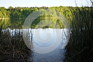 Crystal clear lake Peetschsee located in Stechlin conservation area