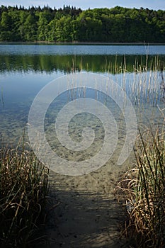 Crystal clear lake Peetschsee located in Stechlin conservation area