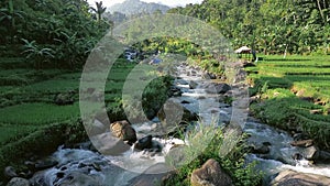 A crystal-clear mountain river winding through lush greenery