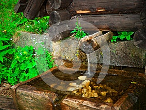 Crystal clear mountain spring water