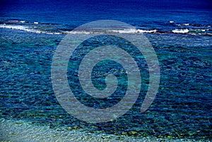 Crystal Clear - The Reef of Niue