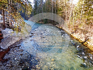 Crystal clear river stream in mountain forest