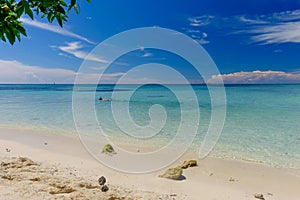 The crystal clear and shallow waters on the islands of the tropical Dry tortugas