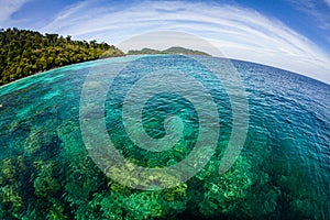 Crystal clear transparent waters in paradisiacal Ko Rok island  in the andaman coast, Thailand. Fish eye shot