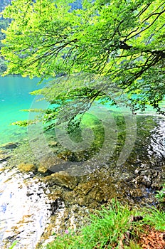 Crystal clear water in the lake