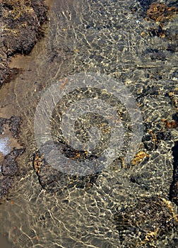 Crystal Clear Water Of Mountain