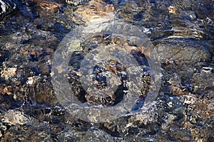 Crystal clear water in a mountain stream