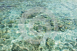 Crystal clear water of the tropical sea