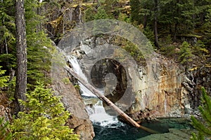Crystal Clear Waterfall With Log In Water