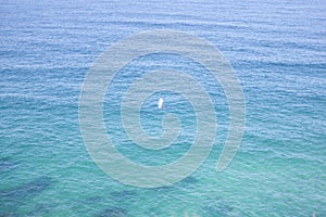 Crystal clear waters of the Australian coastline