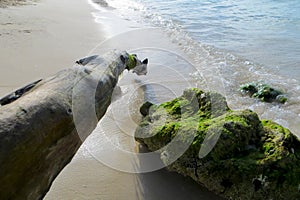 Crystal clear waves, Venezuelan beach