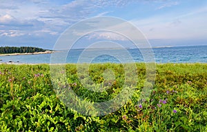 Crystal Crescent Beach in Halifax.