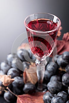 Crystal glass of red wine and grapes with dried vine leaves.