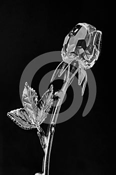 Crystal Glass Rose Flower 24k Gold Plated Long Stem on Black Background