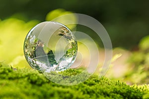 crystal globe glass resting on moss stone with sunshine in nature forset. eco  environment concept