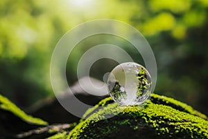 crystal globe glass resting on moss stone with sunshine in nature forset. eco  environment concept