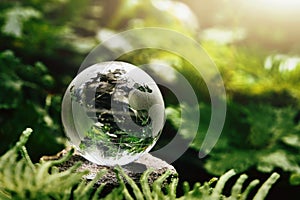 crystal globe glass resting on stone with green leaf and sunshine in nature forset. eco  environment concept