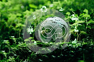 Crystal globe putting on moss with circular economy icon