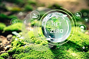 Crystal globe putting on moss with Net Zero icon