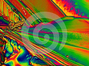 Crystal layer on microscope object glass, seen in polarized light.