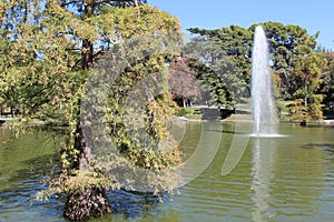 Crystal Palace, Retiro Park, fountain. Madrid, Spain.