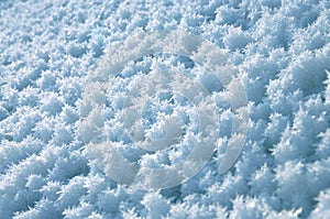 Crystal pattern of frost.