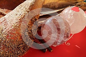 Crystal quartz balls with Pinna nobilis, noble pen shells, macro photography, closeup