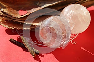Crystal quartz with Pinna nobilis, noble pen shells, macro photography, closeup