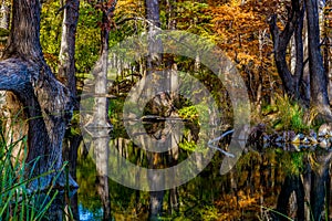 Crystal Reflections of Fall Foliage at Garner State Park, Texas