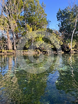 Crystal River Florida