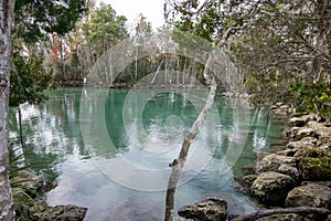 Crystal River, Three Sisters Springs December 26 2022