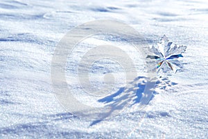 Crystal Snowflake Sparkle: Play of Light in the Snow