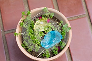 Crystal stone in green outdoor.