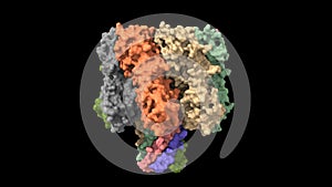 Crystal structure of alpha-hemolysin